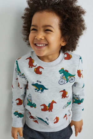 C&A Dinosaur Grigie Chiaro | 3601-WFNTO